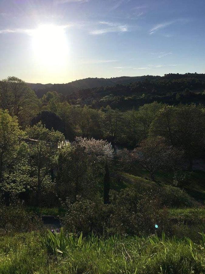 Chambre D'Hote Au Jardin Le Clos Des Vins D'Anges Saint-Pierre-des-Champs Eksteriør billede