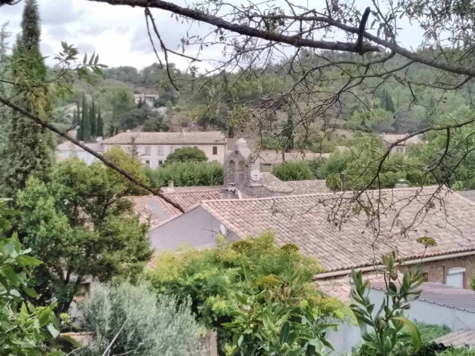 Chambre D'Hote Au Jardin Le Clos Des Vins D'Anges Saint-Pierre-des-Champs Værelse billede